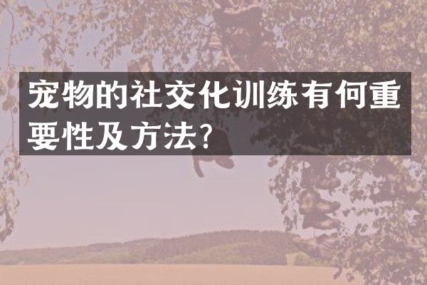 宠物的社交化训练有何重要性及方法？
