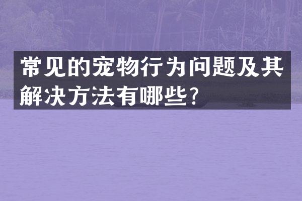 常见的宠物行为问题及其解决方法有哪些？