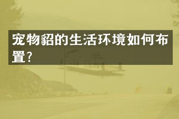宠物貂的生活环境如何布置？