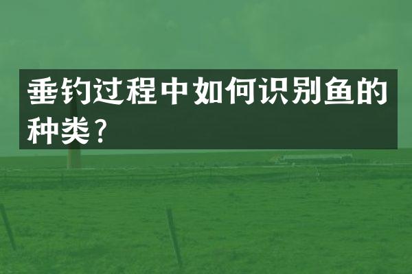垂钓过程中如何识别鱼的种类？