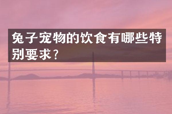 兔子宠物的饮食有哪些特别要求？