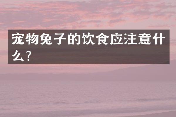 宠物兔子的饮食应注意什么？