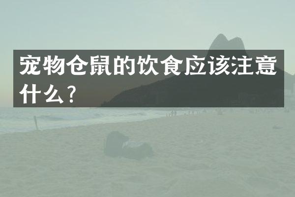 宠物仓鼠的饮食应该注意什么？