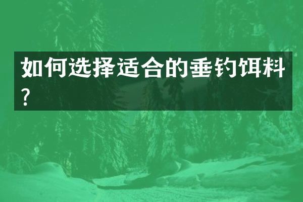 如何选择适合的垂钓饵料？