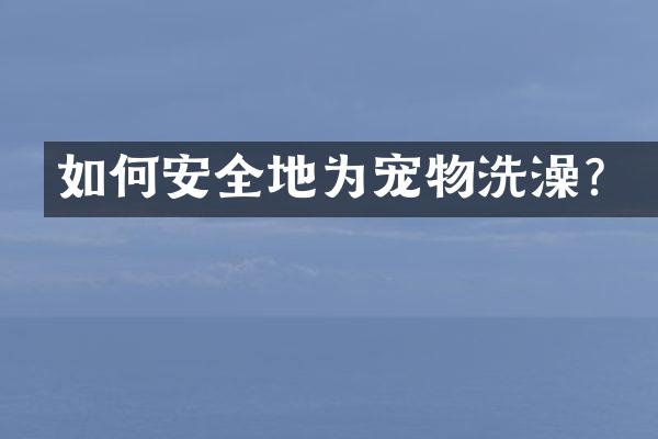 如何安全地为宠物洗澡？