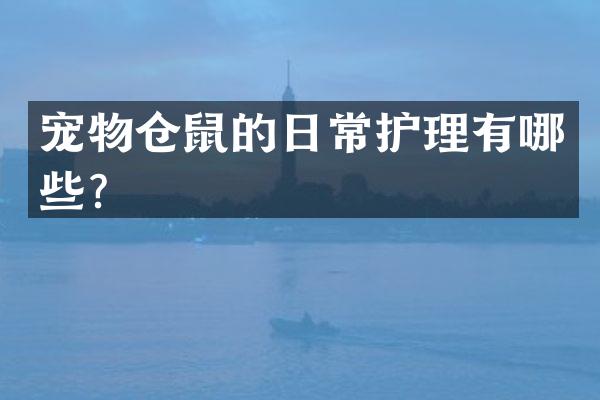 宠物仓鼠的日常护理有哪些？