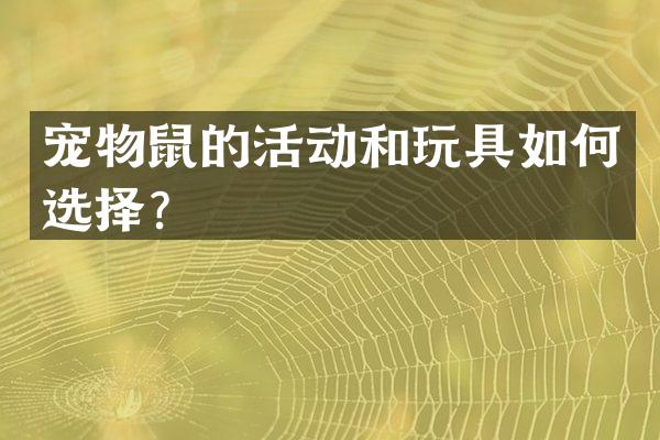 宠物鼠的活动和玩具如何选择？