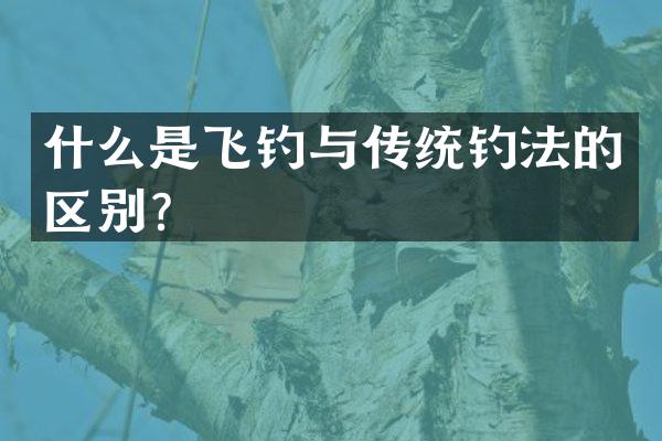 什么是飞钓与传统钓法的区别？