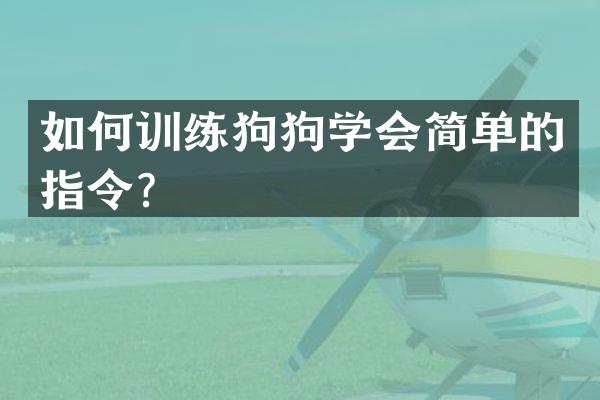 如何训练狗狗学会简单的指令？