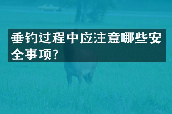 垂钓过程中应注意哪些安全事项？