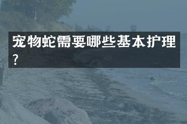 宠物蛇需要哪些基本护理？