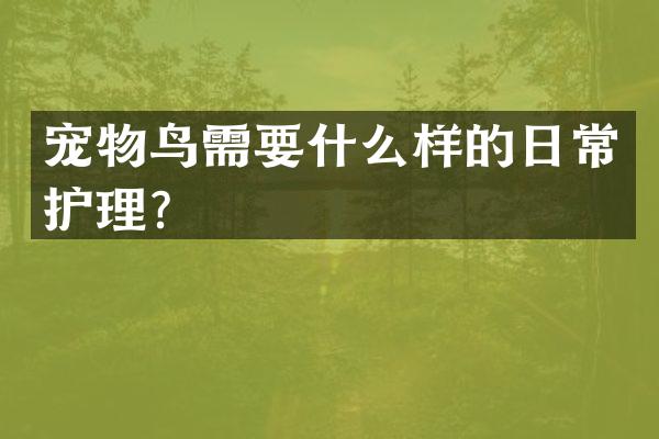 宠物鸟需要什么样的日常护理？
