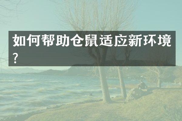 如何帮助仓鼠适应新环境？