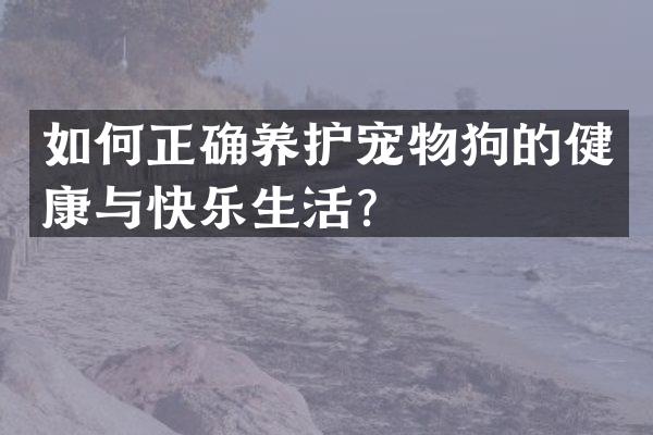 如何正确养护宠物狗的健康与快乐生活？