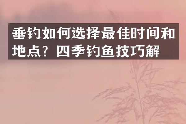 垂钓如何选择最佳时间和地点？四季钓鱼技巧解析