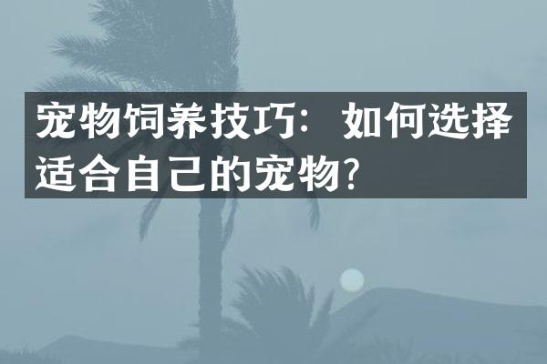 宠物饲养技巧：如何选择适合自己的宠物？