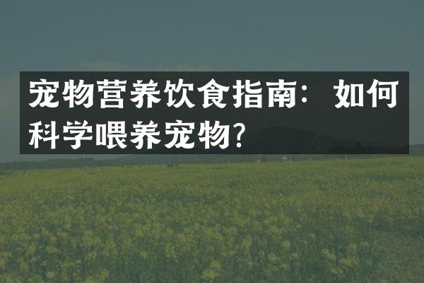 宠物营养饮食指南：如何科学喂养宠物？