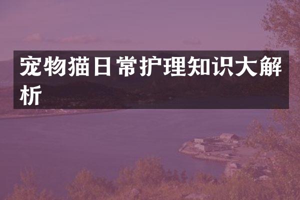 宠物猫日常护理知识大解析