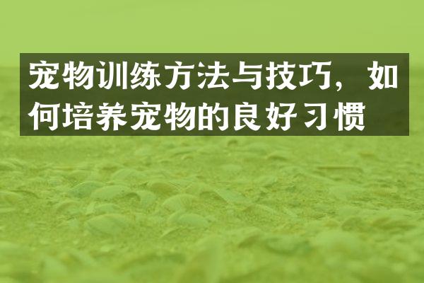 宠物训练方法与技巧，如何培养宠物的良好习惯？