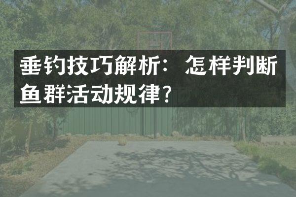 垂钓技巧解析：怎样判断鱼群活动规律？