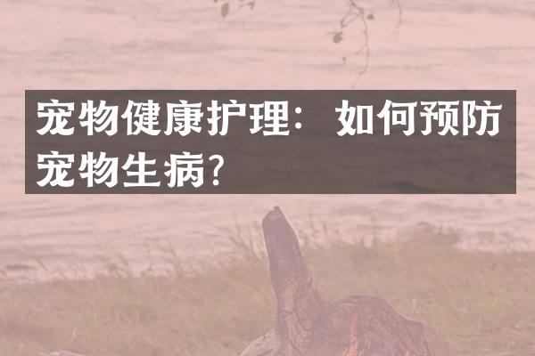 宠物健康护理：如何预防宠物生病？