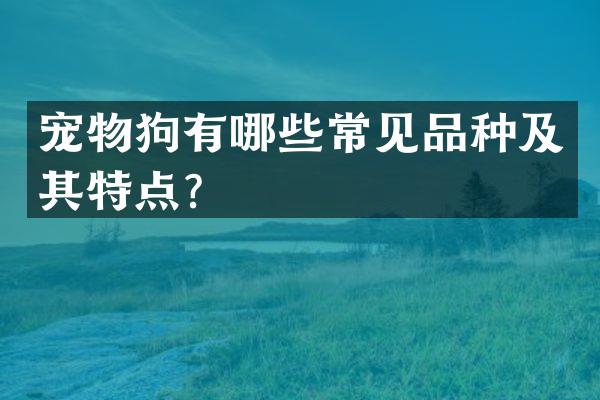 宠物狗有哪些常见品种及其特点？