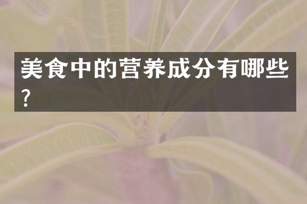 美食中的营养成分有哪些？