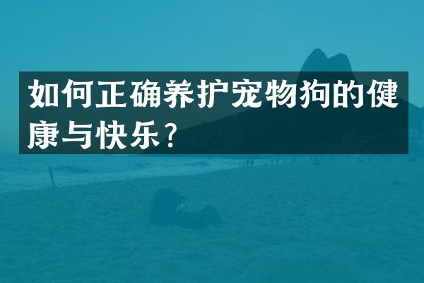 如何正确养护宠物狗的健康与快乐？