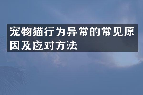 宠物猫行为异常的常见原因及应对方法