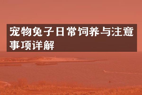 宠物兔子日常饲养与注意事项详解