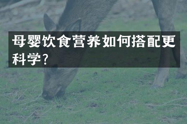 母婴饮食营养如何搭配更科学？