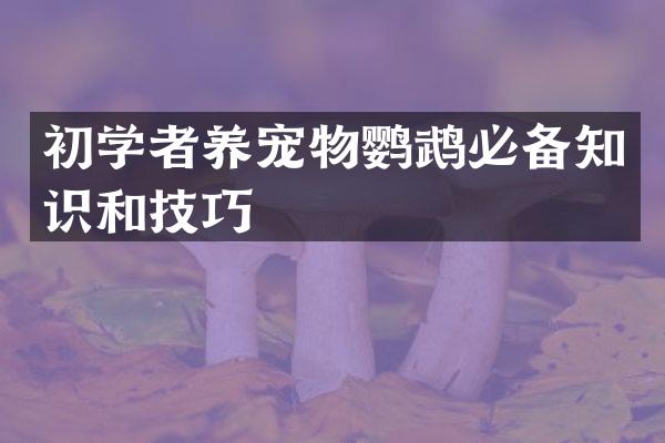 初学者养宠物鹦鹉必备知识和技巧