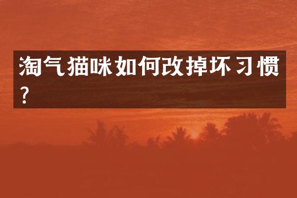 淘气猫咪如何改掉坏习惯？
