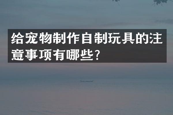 给宠物制作自制玩具的注意事项有哪些？