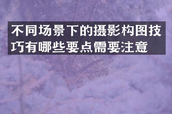 不同场景下的摄影构图技巧有哪些要点需要注意？