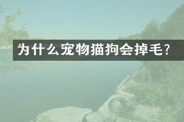 为什么宠物猫狗会掉毛？