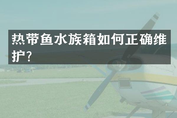 热带鱼水族箱如何正确维护？