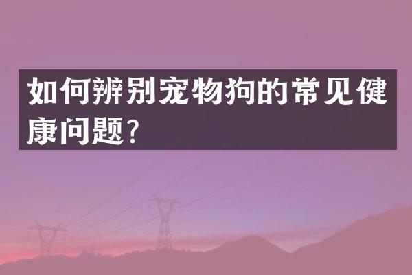 如何辨别宠物狗的常见健康问题？