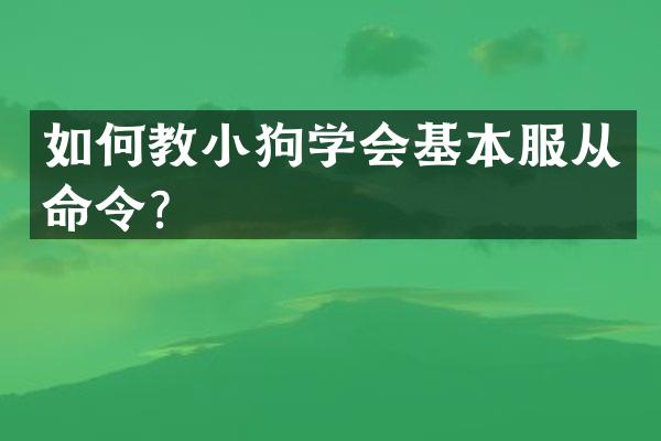 如何教小狗学会基本服从命令？