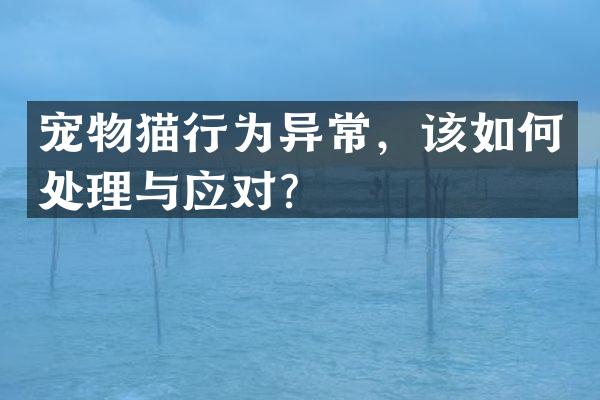 宠物猫行为异常，该如何处理与应对？