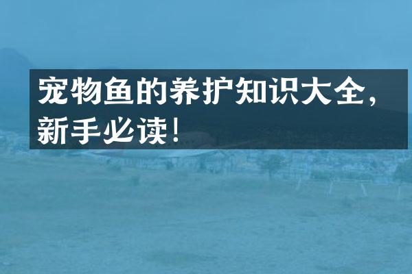 宠物鱼的养护知识大全，新手必读！