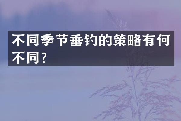 不同季节垂钓的策略有何不同？