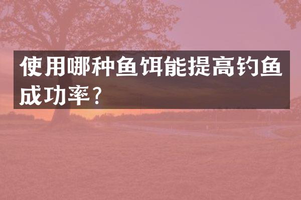使用哪种鱼饵能提高钓鱼成功率？