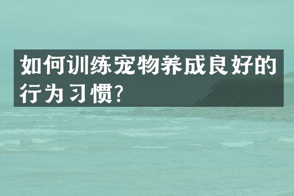 如何训练宠物养成良好的行为习惯？