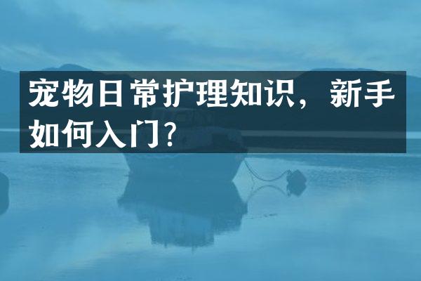 宠物日常护理知识，新手如何入门？