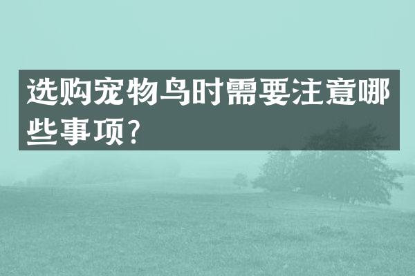 选购宠物鸟时需要注意哪些事项？