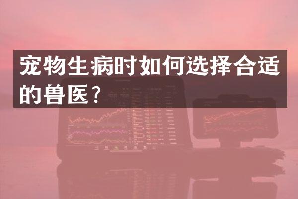 宠物生病时如何选择合适的兽医？