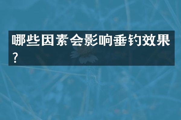 哪些因素会影响垂钓效果？