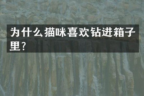 为什么猫咪喜欢钻进箱子里？