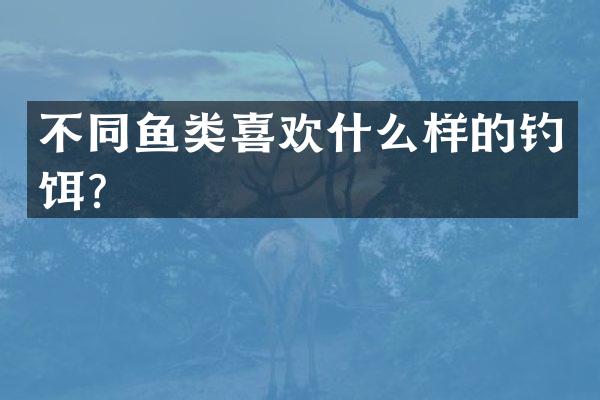 不同鱼类喜欢什么样的钓饵？